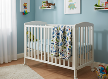 Load image into Gallery viewer, Newborn Baby Blanket | Dinosaur