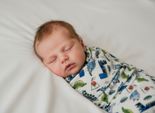 Load image into Gallery viewer, Newborn Baby Blanket | Dinosaur