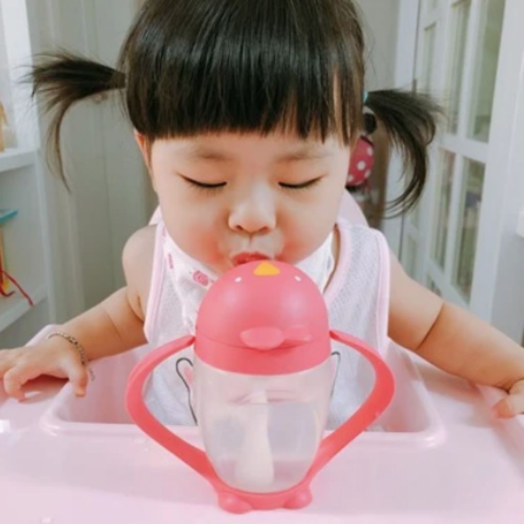 http://whimsicalcharm.com/cdn/shop/products/Whimsical-charm-lollaland-toddler-sippy-cup-posh-pink_1200x1200.jpg?v=1626826154